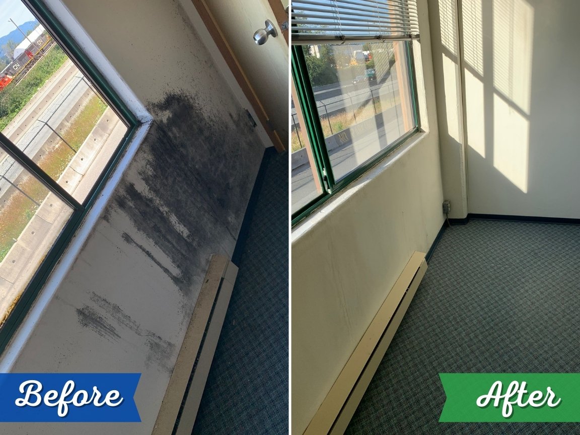 Cleaning-Services-Before-after-photos-carpet-and-window-cleaning-1 (1)