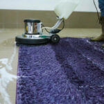 Carpet Cleaning in Cabbagetown