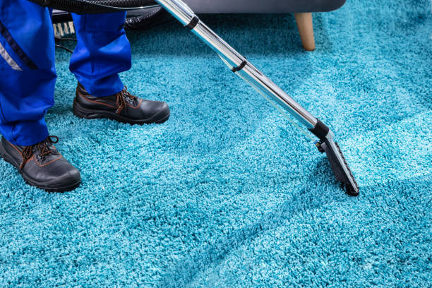 Etobicoke Carpet Cleaning