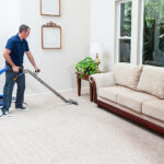 The Annex Carpet Cleaning