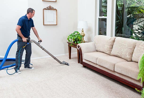 The Annex Carpet Cleaning