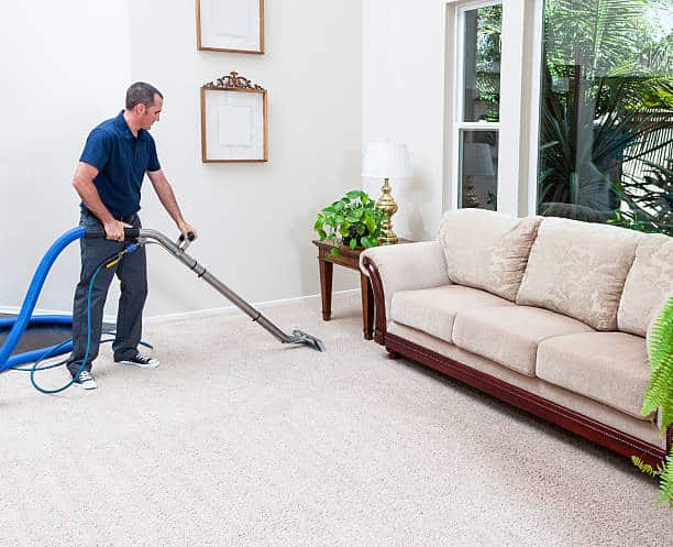 The Annex Carpet Cleaning