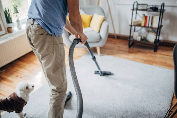 Yonge–Eglinton Carpet Cleaning